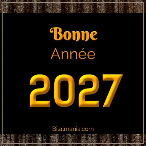 Bonne année 2027 Gif