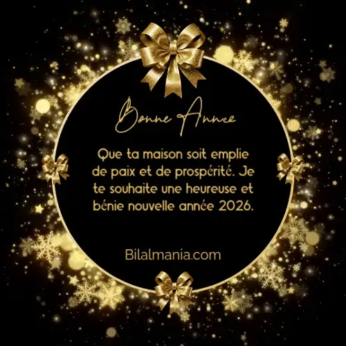gif bonne année 2027